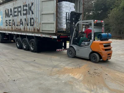 Imagem do WhatsApp de 2025-07-25 à(s) 07.50.37_3db618e3